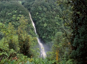 Akaka Falls