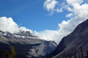 Ice Fields